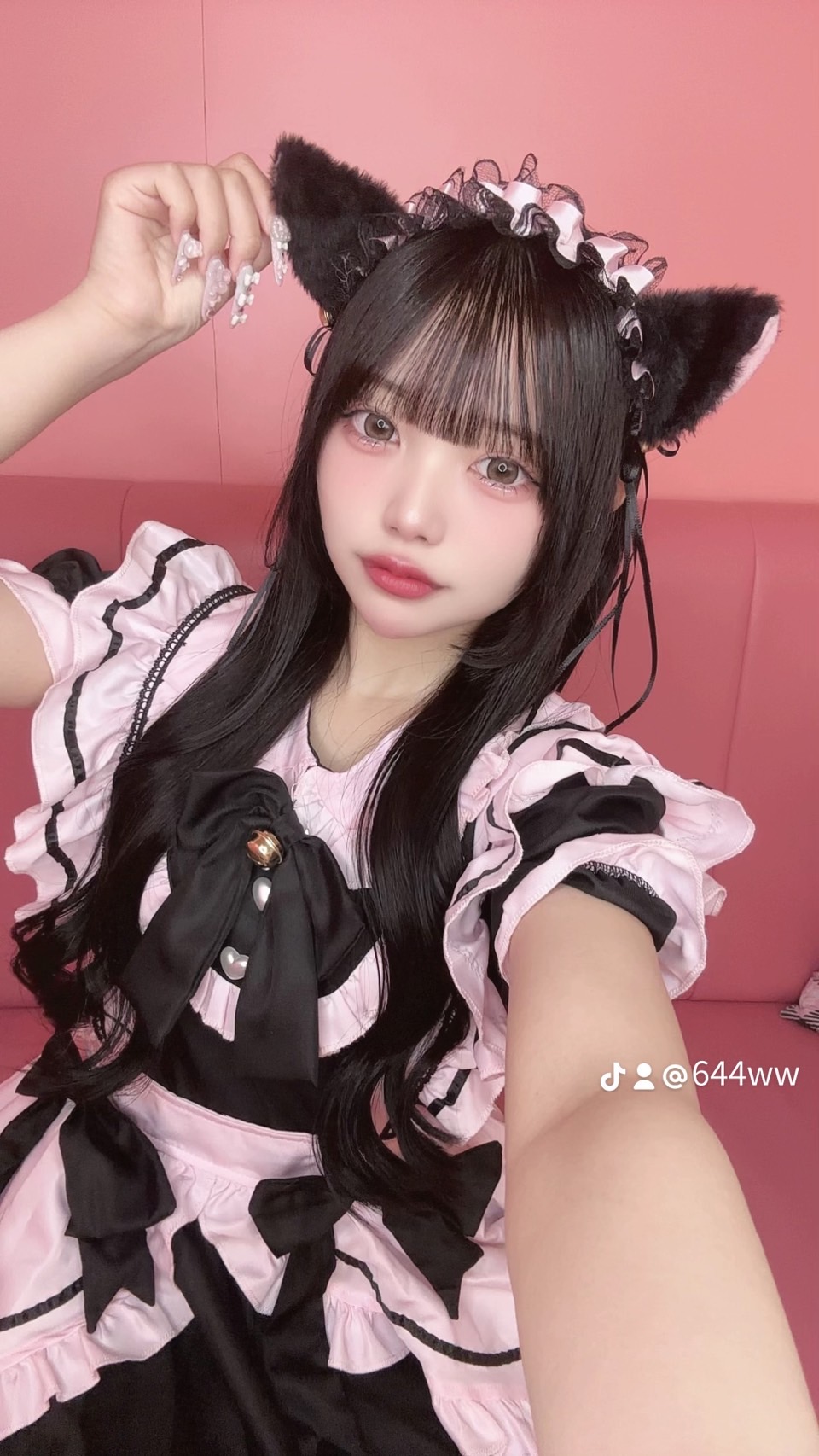 猫ちゃんになた🐱