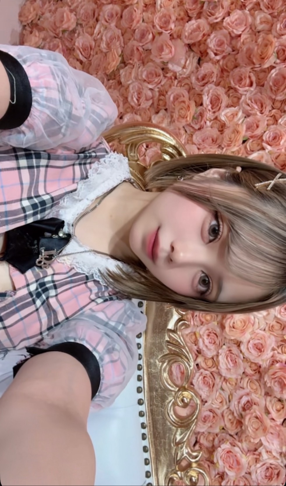 ダウンタイム終了？！